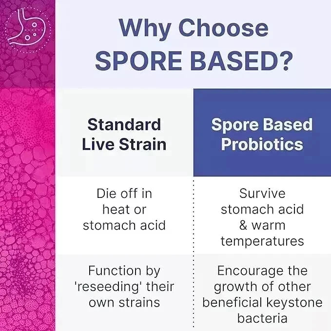 Mega Spore Biotic – 60 capsules