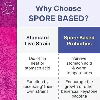 Mega Spore Biotic – 60 capsules